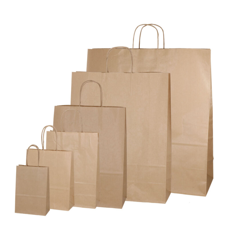 Brown kraft paper bags, twisted handle, different sizes