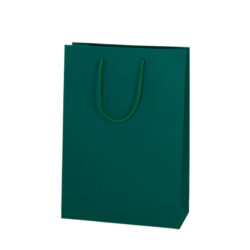 Green colour gift bag