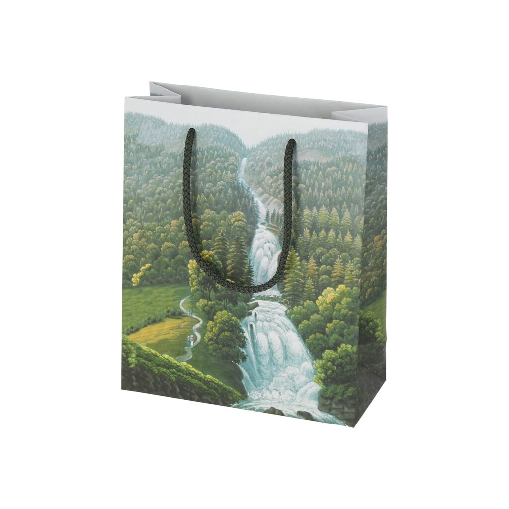 Eritellimusel valmistatud kinkekott nööridega, matt laminaat